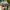 Vintage Luxury Hat Pria blue photo 2