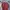 Uniqlo Futurist Casual T-shirt Pria Burgundy