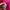 Andersson Bell Casual Hoody Pria pink photo 8