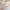 Guess Streetwear Minimalist Sweater Pria multicolor white photo 2