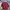 Uniqlo Futurist Casual T-shirt Pria Burgundy