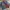Vintage Casual Harrington jacket Pria navy photo 6