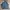 Vintage Casual Harrington jacket Pria navy photo 8