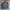Vintage Casual Harrington Jacket Pria Navy