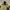 Streetwear Sportswear Parka Pria cream photo 3