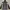 Streetwear Sportswear Parka Pria cream photo 2