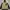 Streetwear Sportswear Parka Pria cream photo 1
