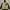 Streetwear Sportswear Parka Pria Cream