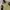 Streetwear Sportswear Parka Pria cream photo 5