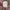 Nike Sportswear Hat Pria white photo 2