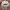 Nike Sportswear Hat Pria white photo 4
