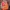 Vintage Y2K Hat Pria orange photo 3