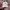 Youths In Balaclava Sportswear Hat Pria White