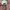 Youths In Balaclava Sportswear Hat Pria white photo 3