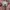 BASSO Vintage Streetwear Hat Pria white photo 2
