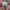 BASSO Vintage Streetwear Hat Pria White