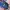 New Era Sportswear Hat Pria blue photo 4