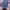 New Era Sportswear Hat Pria blue photo 1