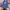 New Era Sportswear Hat Pria Blue