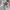 Ed Hardy Streetwear Y2K Hat Pria white cream photo 6