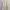 Avandress Casual Varsity jacket Pria cream photo 1