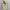Avandress Casual Varsity jacket Pria cream photo 2