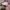 Adidas Vintage Sportswear Hat Wanita pink photo 2