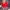 Adidas Indie Casual Tracksuit Pria Red Orange