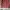 Coquette Bralette Wanita Pink