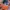New Era Casual Hat Kids orange blue photo 5