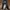 Streetwear Jeans Pria gray photo 1