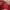 Starter Vintage Y2K Hat Pria red photo 4