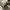 Louis Vuitton Streetwear Luxury Sneakers Pria white gray photo 7