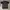 Vintage Y2K T-shirt Pria black photo 1