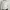 Vintage Casual Harrington jacket Pria white photo 2