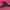 Adidas Sportswear Sneakers Wanita white pink photo 3