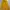 Casual Wanita gold photo 2