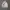 Adidas Vintage Casual Track jacket Pria white photo 2