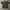 Harley Davidson Streetwear T-shirt Pria Gray