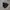 Adidas Casual Track Jacket Pria Black