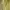 Love Bonito Casual Casual dress Wanita yellow photo 4