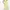 Love Bonito Casual Casual Dress Wanita Yellow