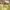 Love Bonito Casual Casual dress Wanita yellow photo 3