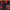 Dickies Vintage Y2K Windbreaker Pria black red photo 3