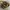 Louis Vuitton Vintage Shoulder bag Wanita brown photo 6
