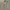 Zara Vintage Y2K Summer dress Wanita tan photo 1