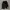 Adidas Sportswear Short Kids black photo 2