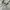 Nike Streetwear Skater Hoody Pria gray photo 4