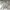 Nike Streetwear Skater Hoody Pria gray photo 1
