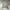 Nike Streetwear Skater Hoody Pria gray photo 2